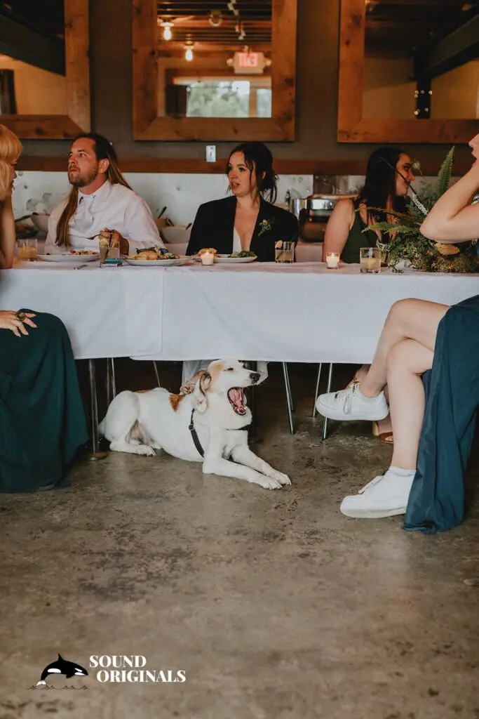 Long Beach Wedding // Maddy & Michael -