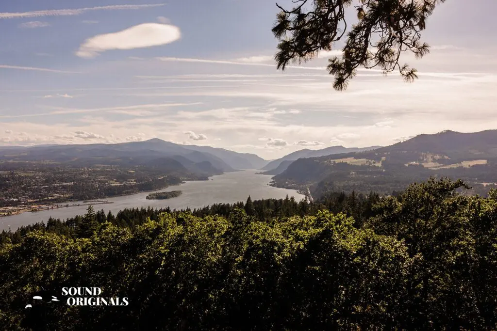 White Salmon Wedding // Megan + Paris -