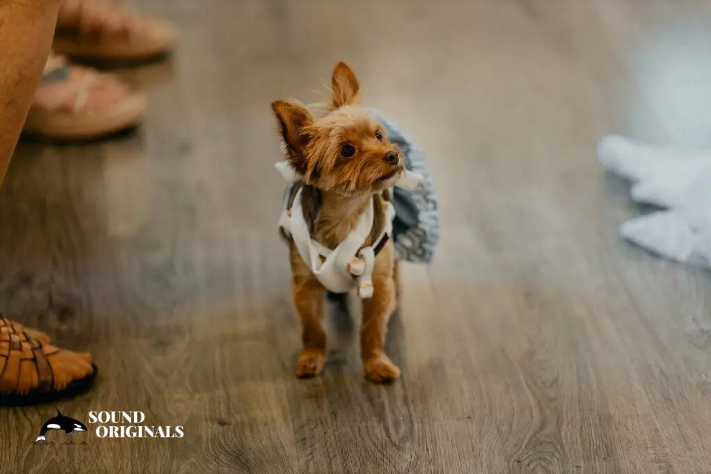 Fern Acres Wedding // Ashley + Casey -