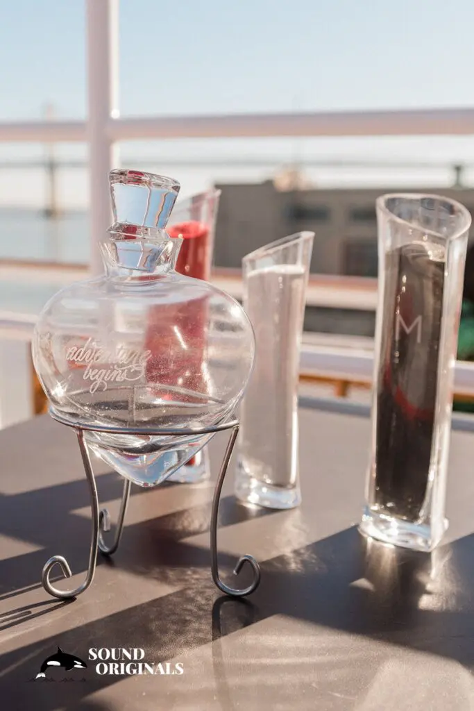 Hornblower Cruises Wedding // Merika + Esther -