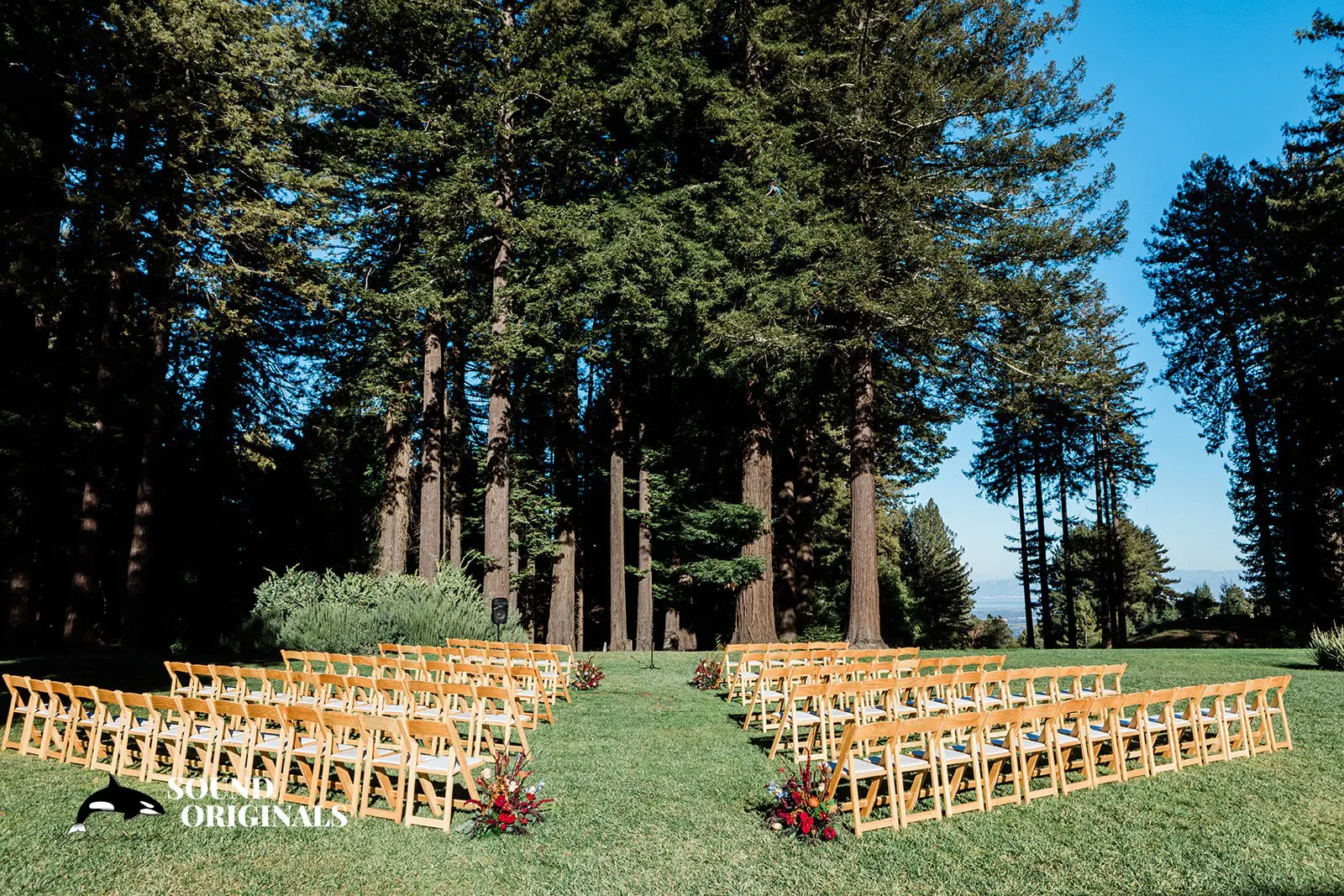 The Mountain Terrace Wedding -