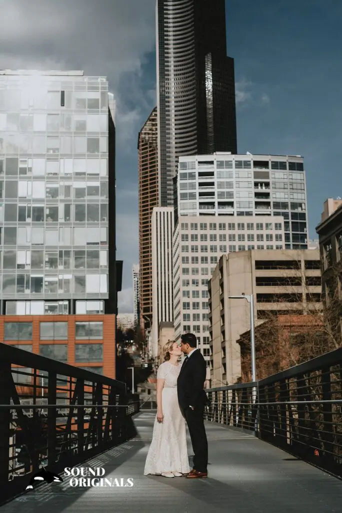The 101 Wedding // Alisa + Salman -
