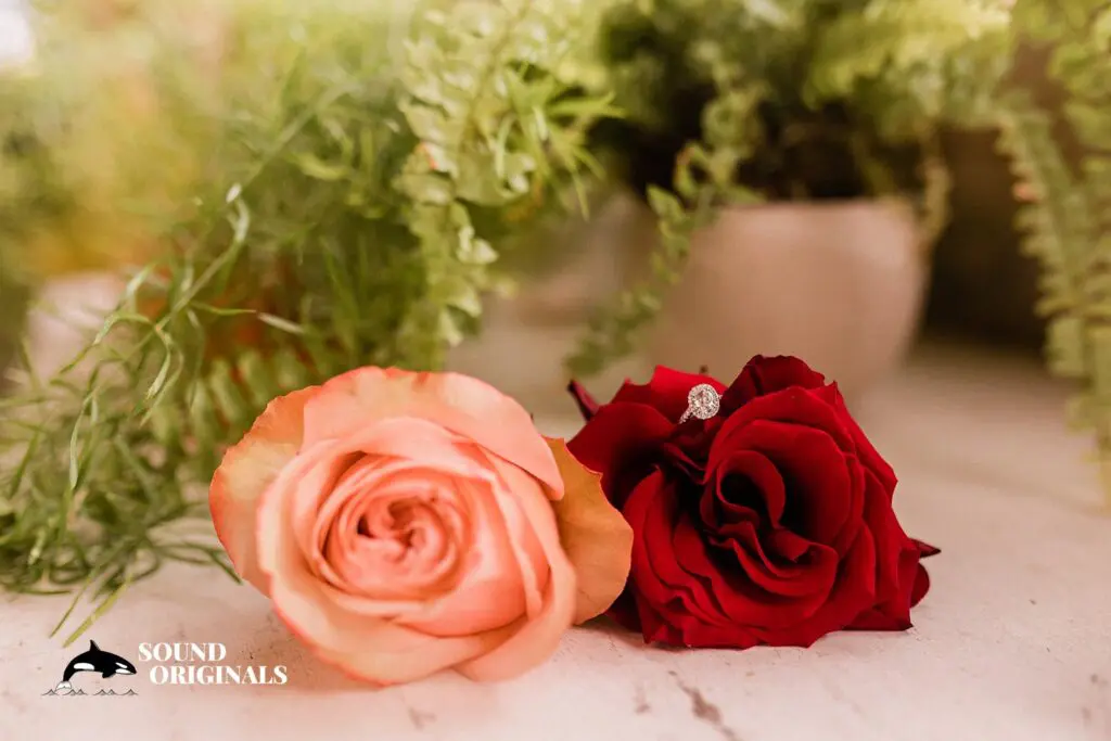 Rashmi & Erik -