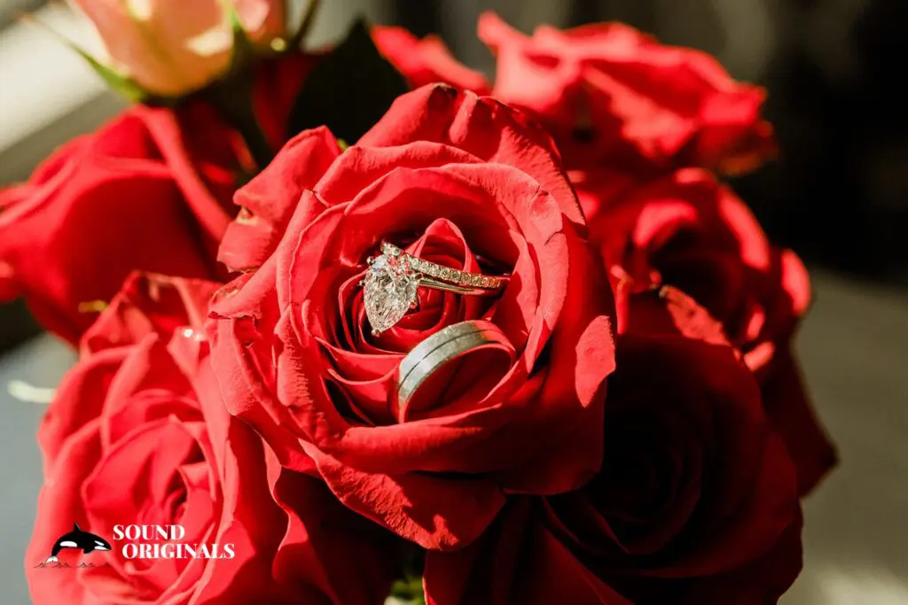 Selina & Chris -