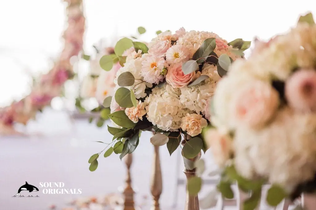 Selina & Chris -