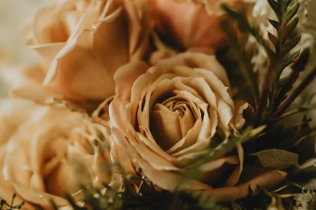 Michaela & Tane -