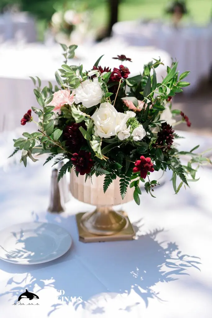 Vivian & Benjamin -