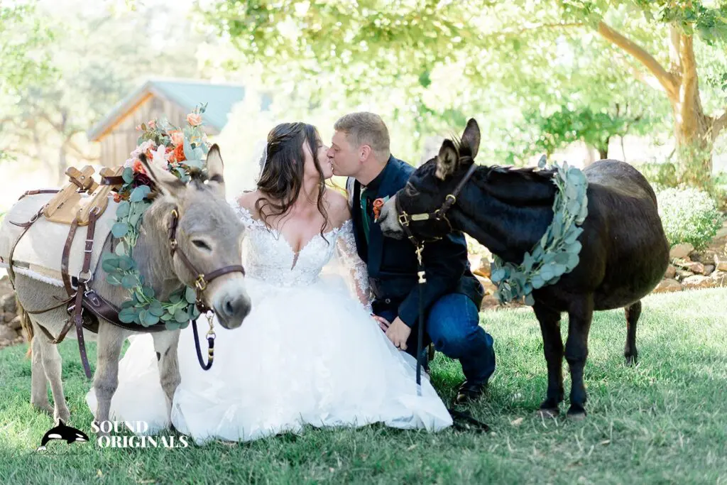 Taylor + Nathaniel -