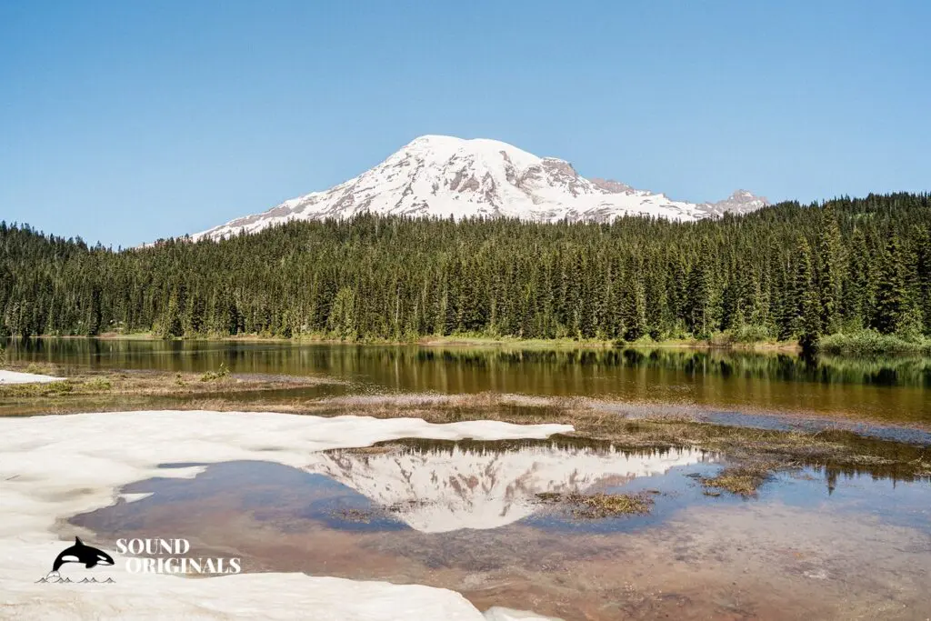 25 STUNNING Locations for Engagement Photos in Seattle -
