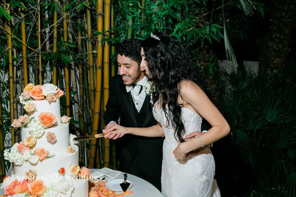 Mareena & Kyrollos -