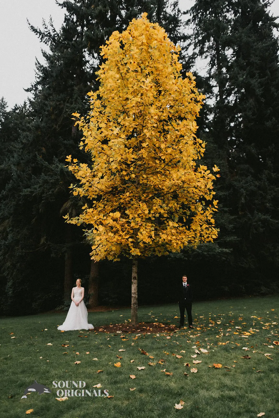 Robinswood House Wedding // Lorraine & Keith 4 Robinswood House Wedding // Lorraine & Keith -