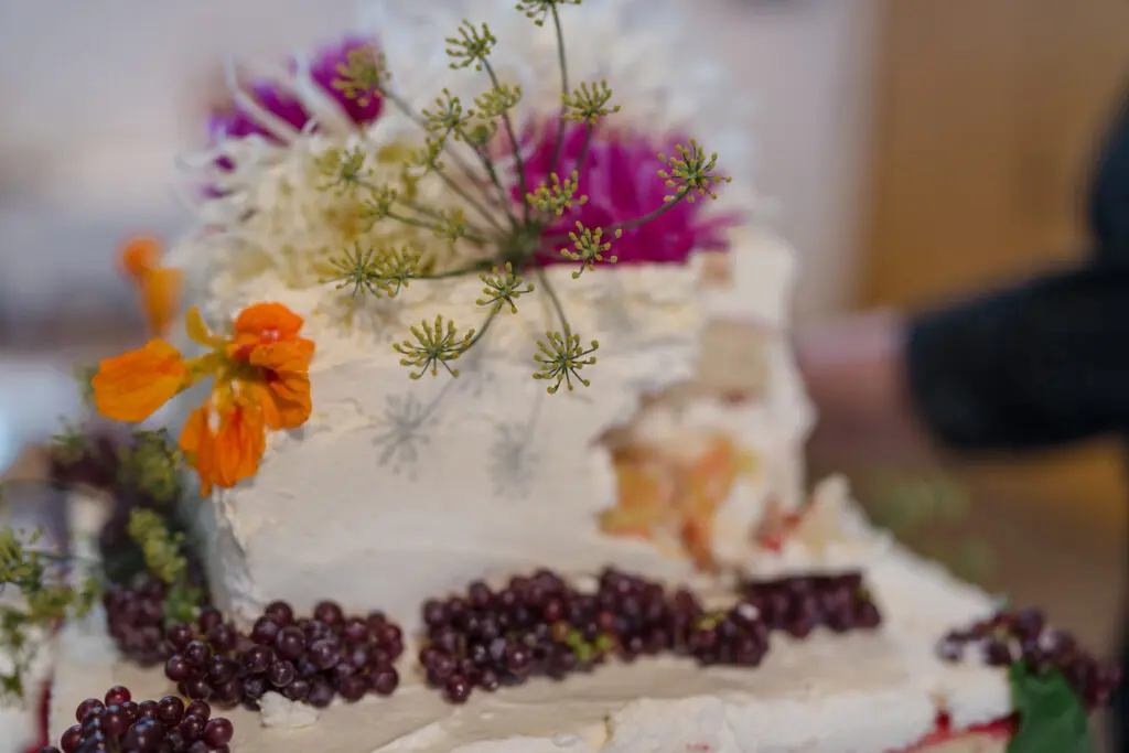 Sarah & Evan -