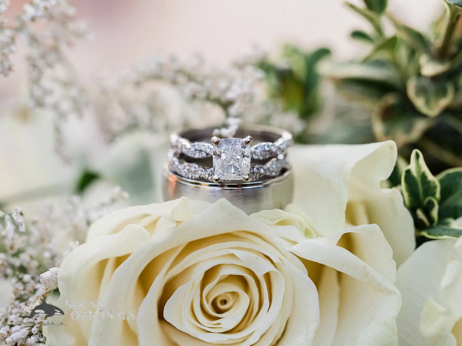 Family Orchard Wedding // Sarah & Jeshurun 5 Family Orchard Wedding // Sarah & Jeshurun -