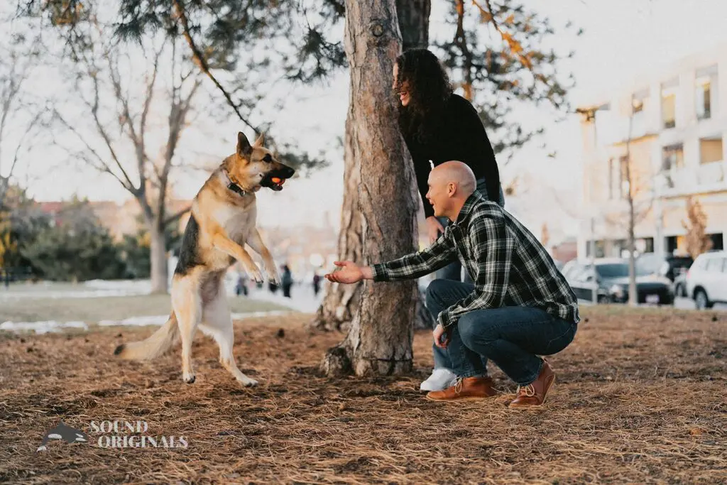 Anna & Gregory -