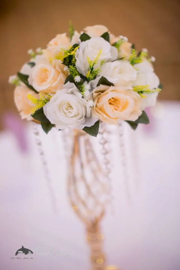 Sara & Omar -