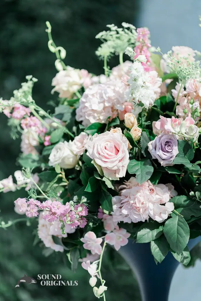 Ashwin & Divya -
