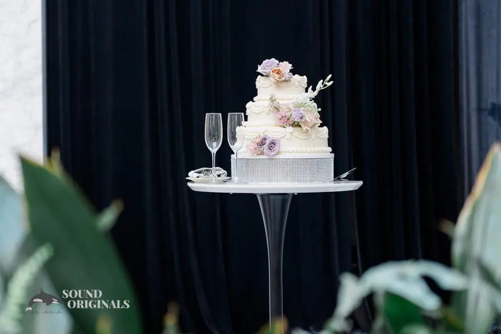 Ashwin & Divya -