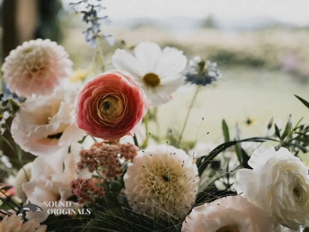 Erika & Chris -