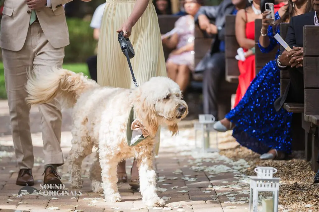 Sarah & Cody -