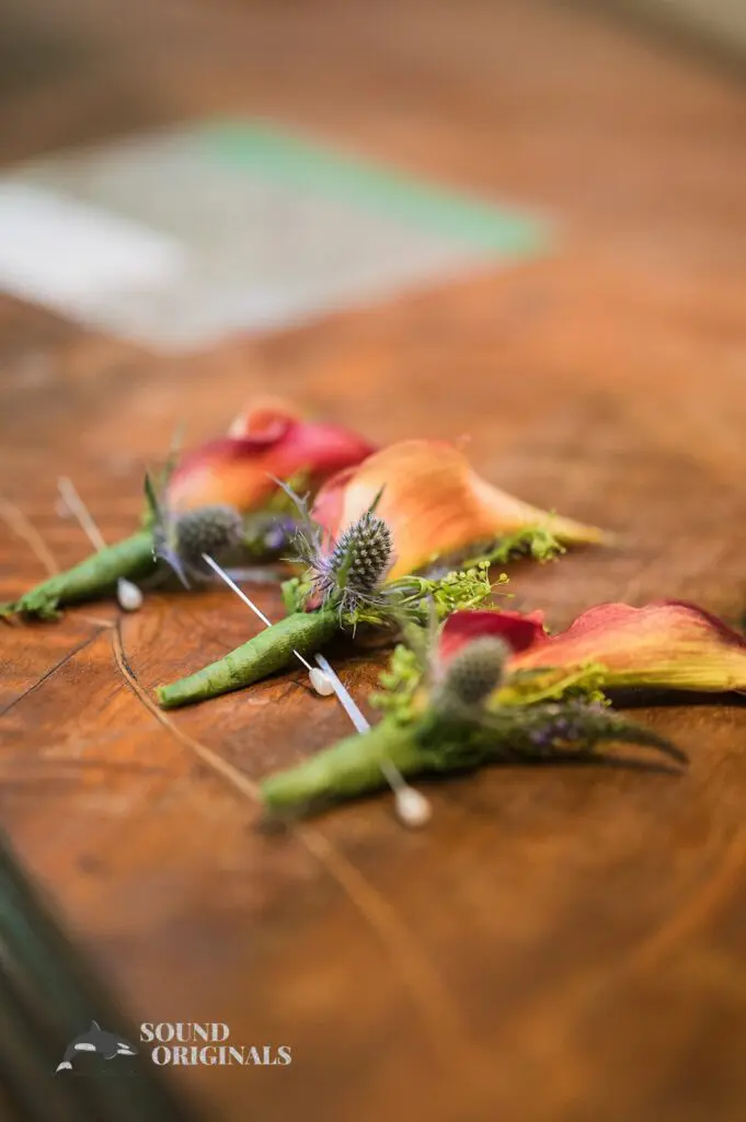 Alexandra & Sorin -