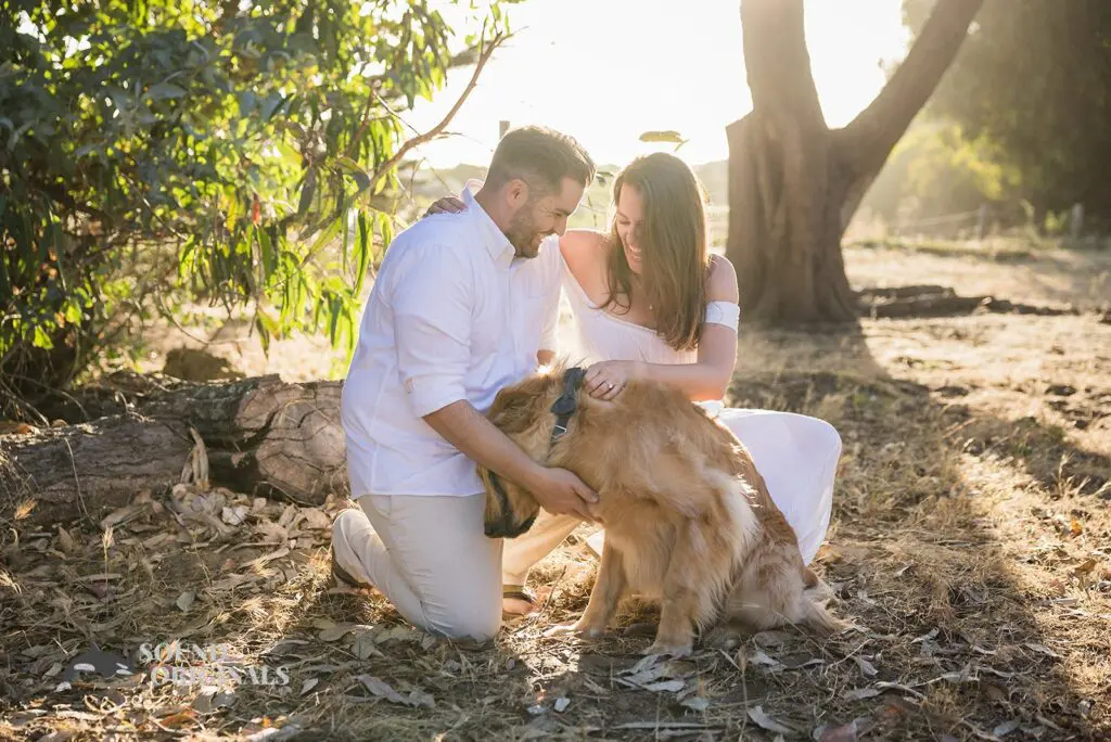 Mandy & Matt -