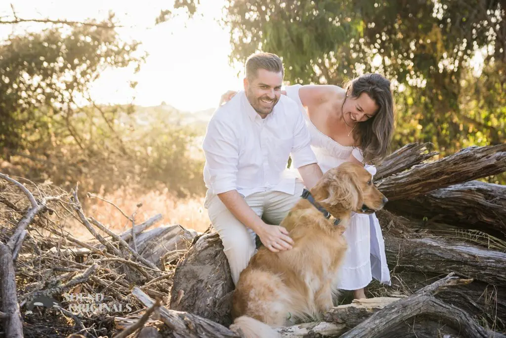 Mandy & Matt -