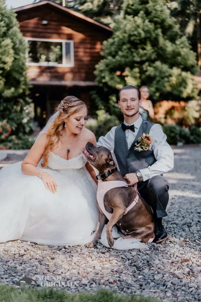 Dogs at Weddings -