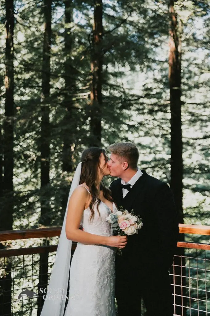 Redwood Observation Deck Wedding // Emily + Alexander -