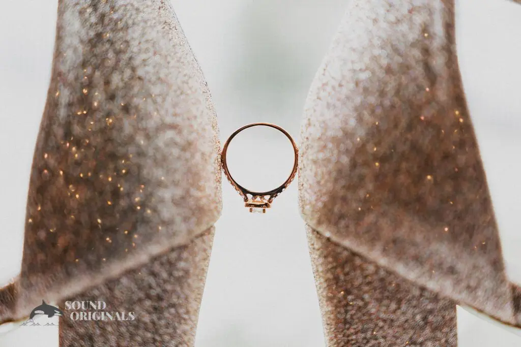 Dalina & Alex -