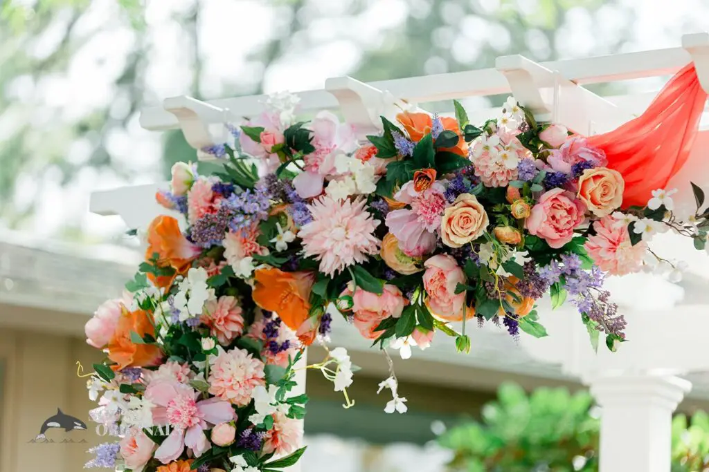 Elena & Andres -