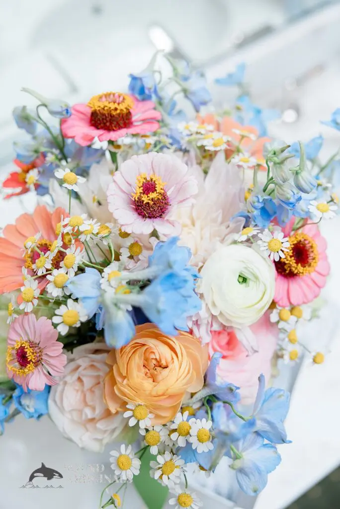 Claire & Jarrett -