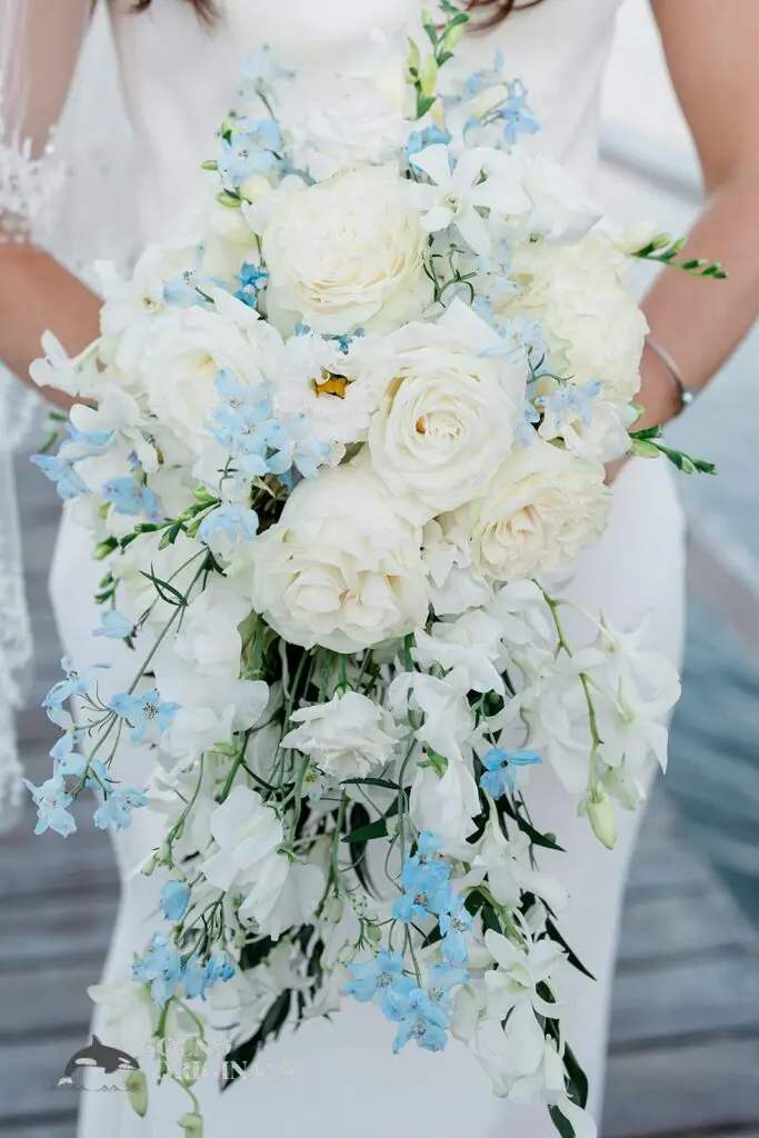 Colleen & Mike -