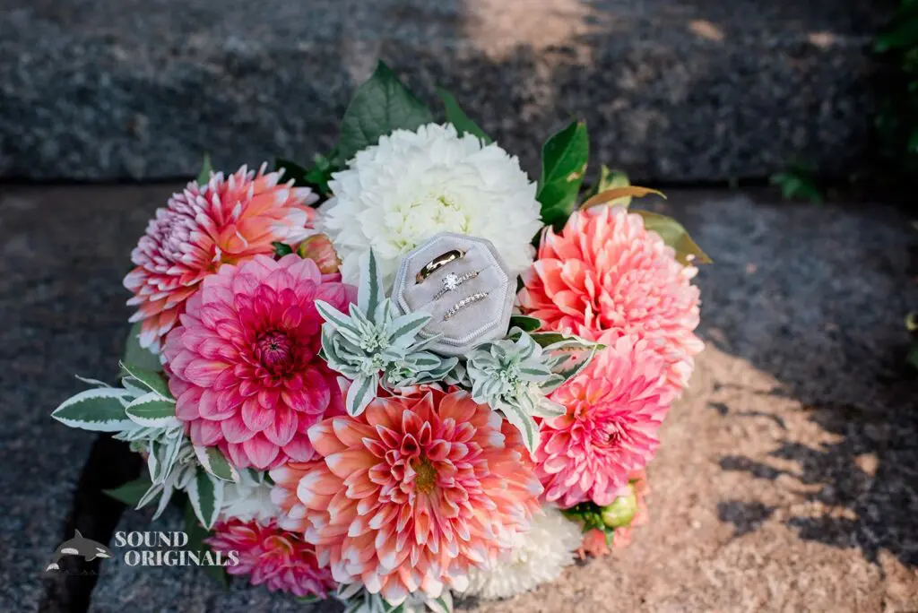 April & Will -
