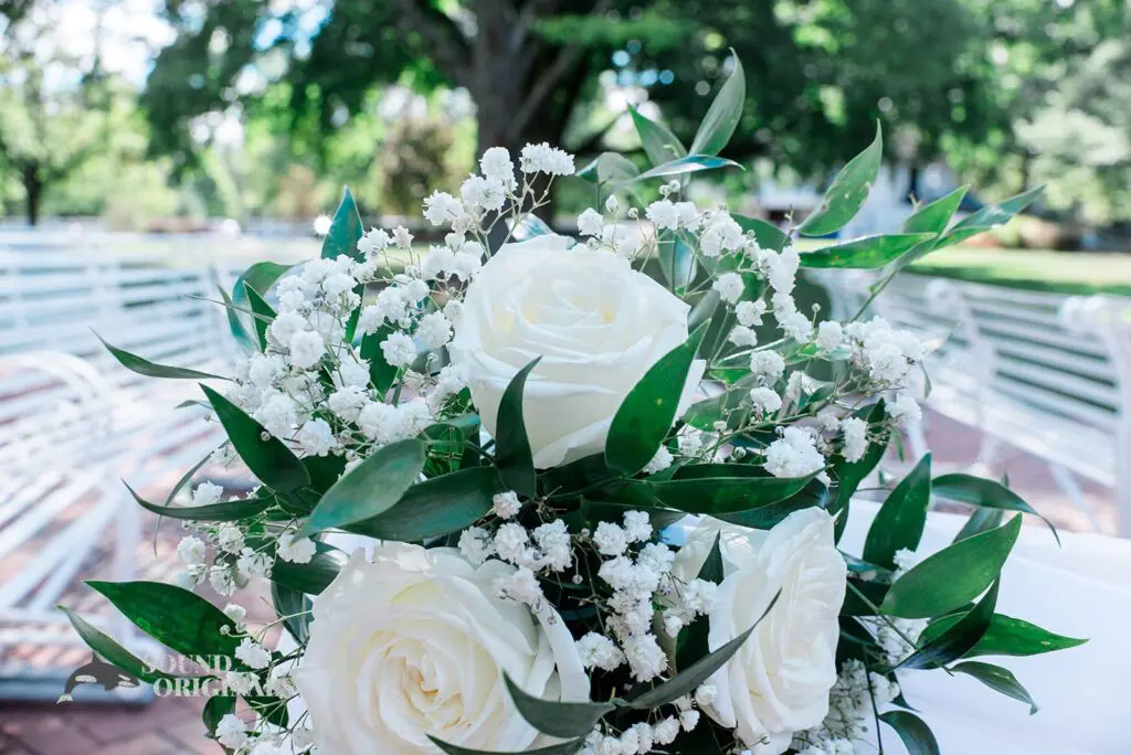 Allison & Marc -