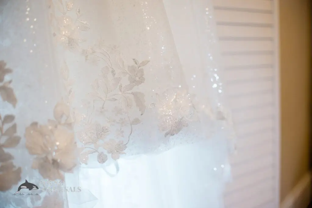 Allison & Marc -