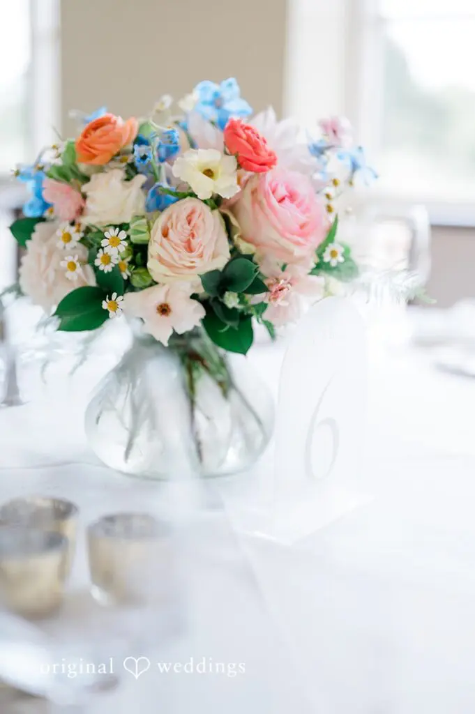 Claire & Jarrett -