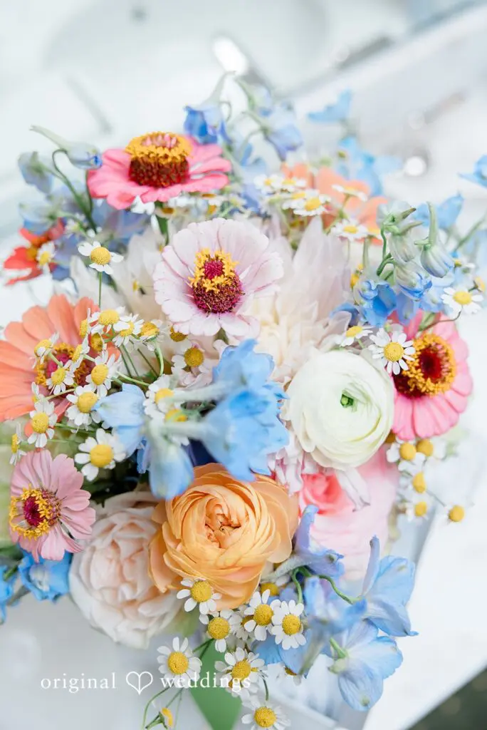 Claire & Jarrett -