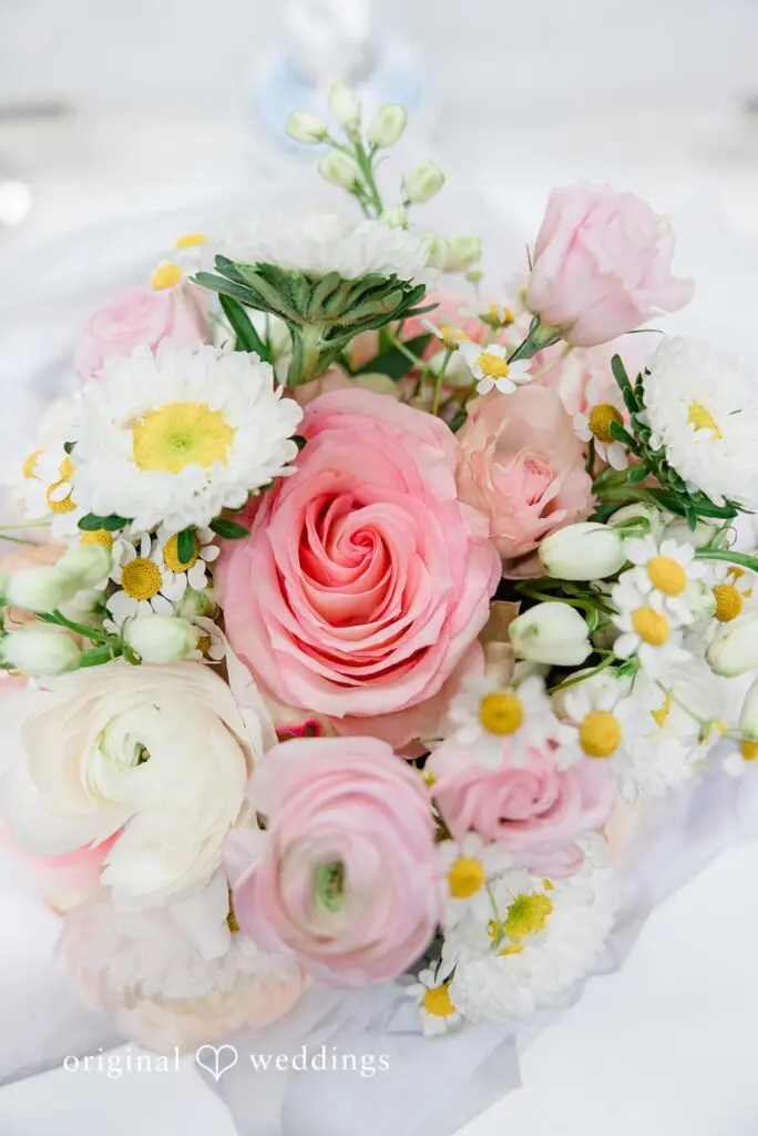 Claire & Jarrett -