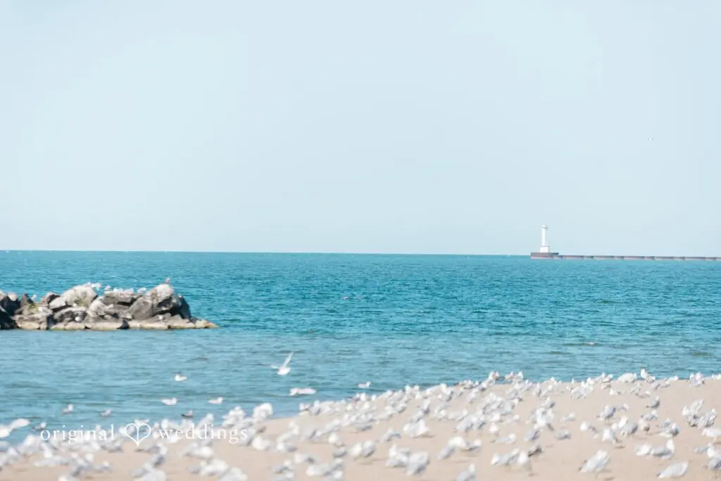 Kimberly & Thomas -