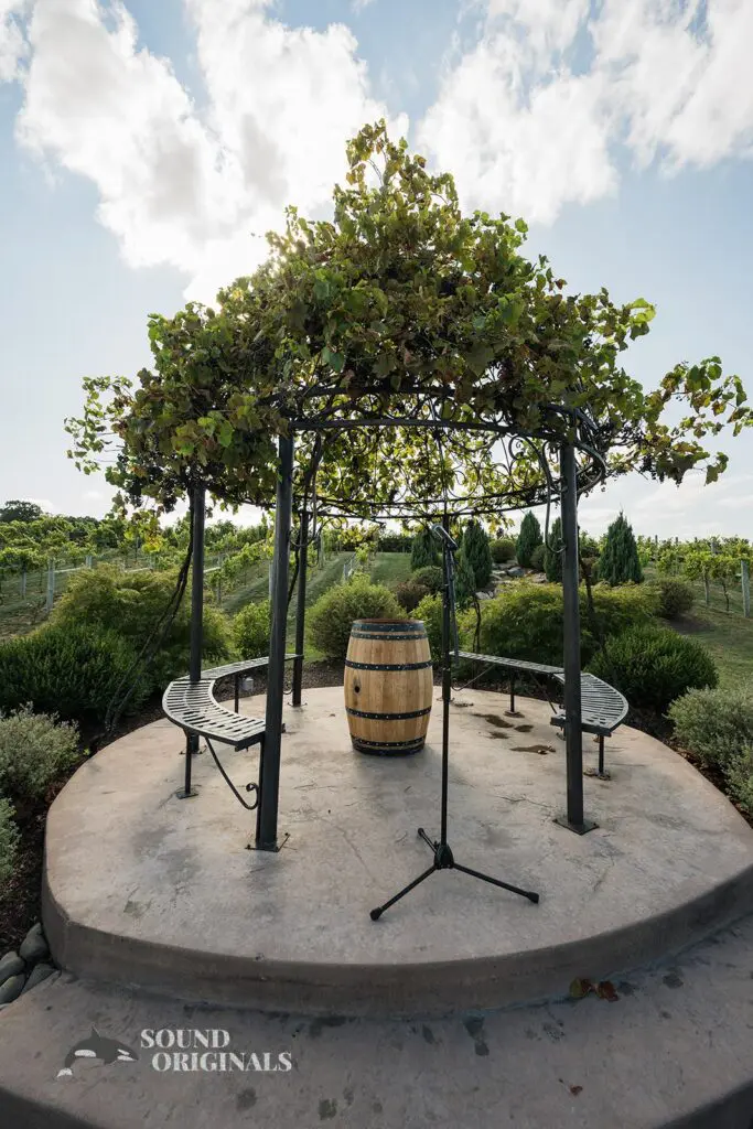 Gazebo at Folino Estate Winery