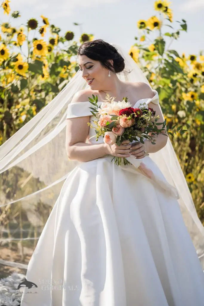 Gorgeous bride near sunflower fields at Folino Estate Winery