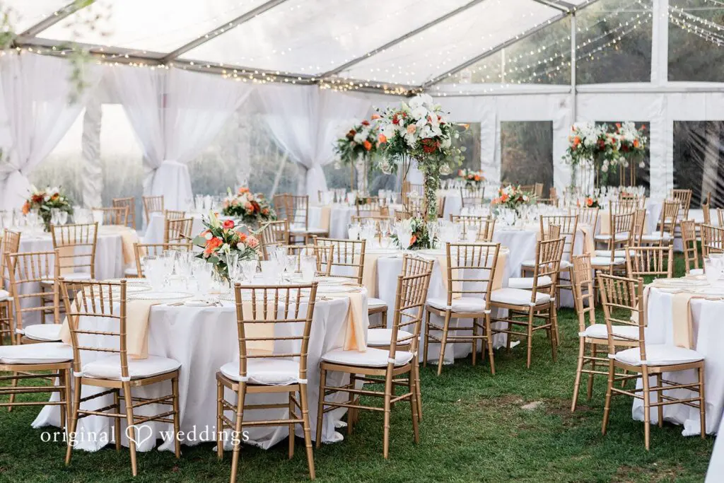 Tracie & Jeff -