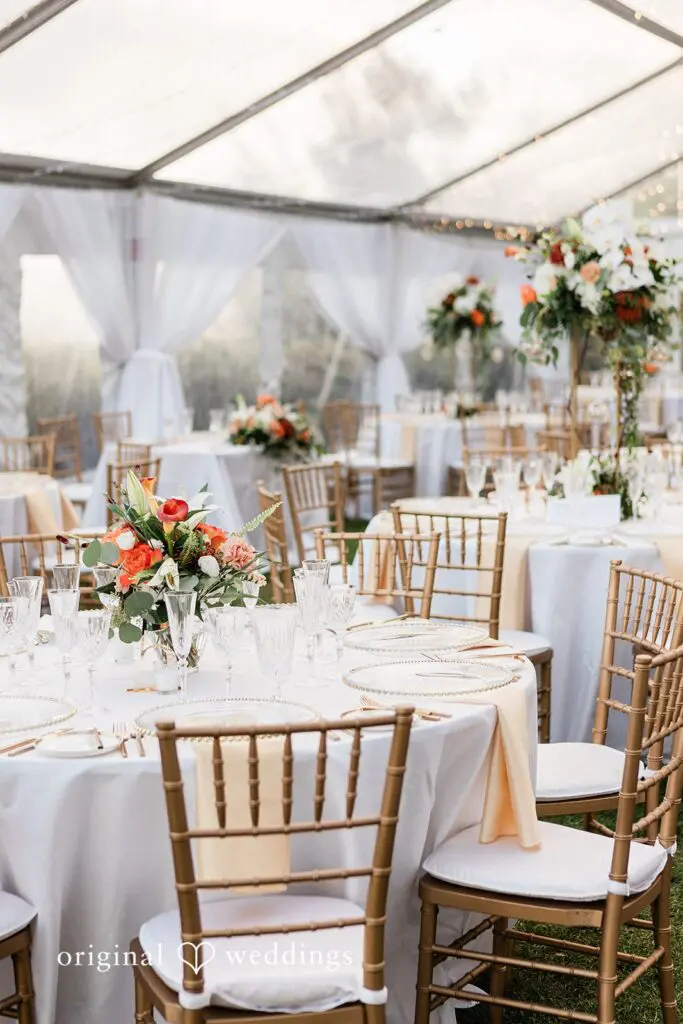 Tracie & Jeff -