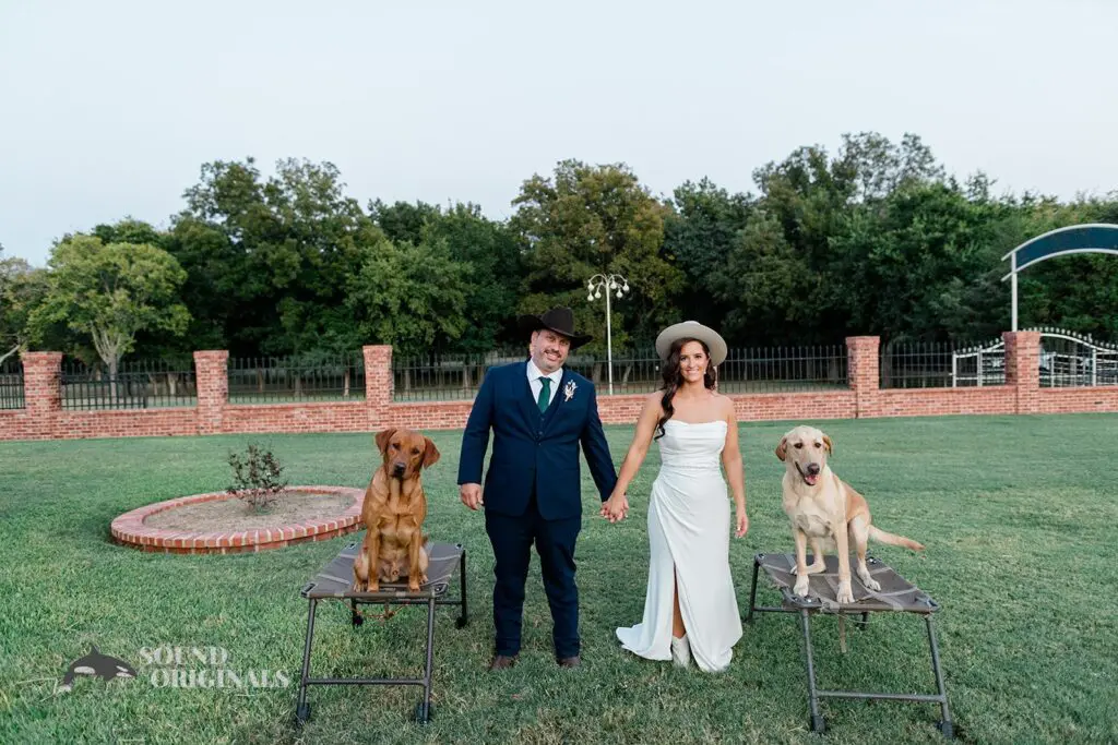 Kate & Mark -