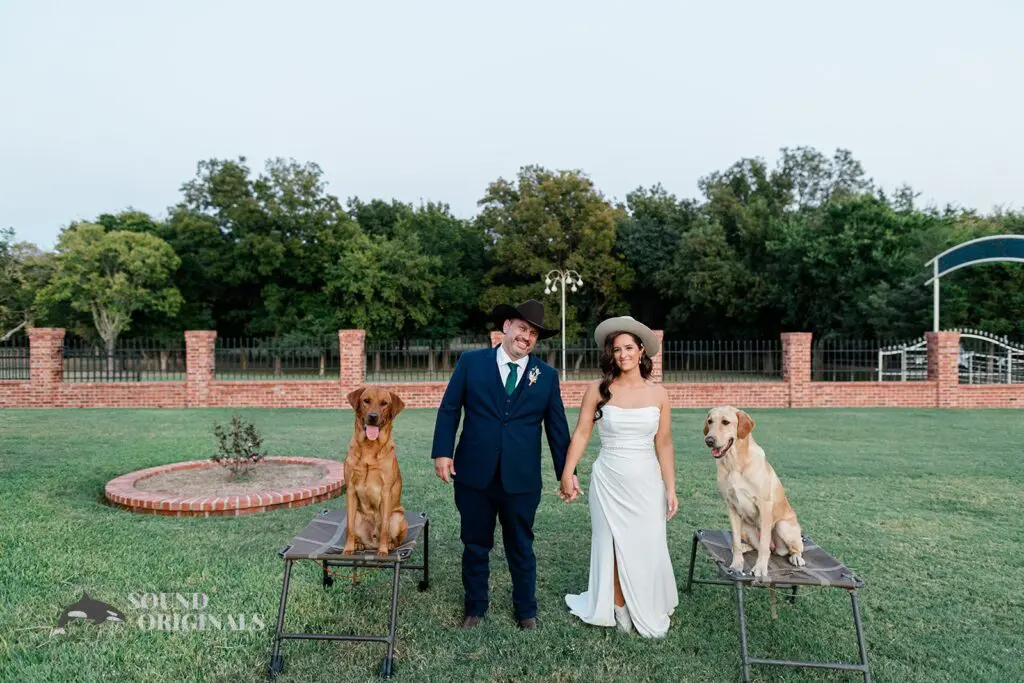 Kate & Mark -