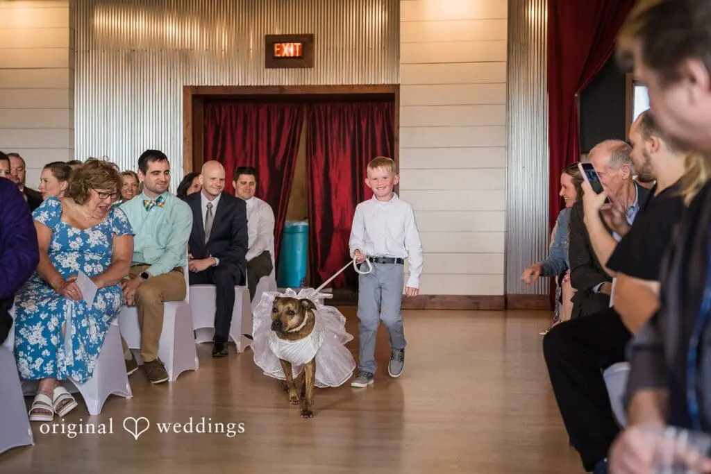 Chivaree on Park Wedding // Claire & Nicholas -