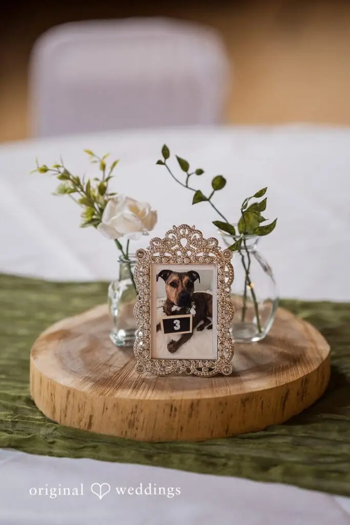 Chivaree on Park Wedding // Claire & Nicholas -