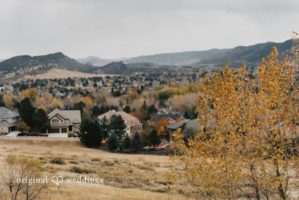 McKinsay & Grant -
