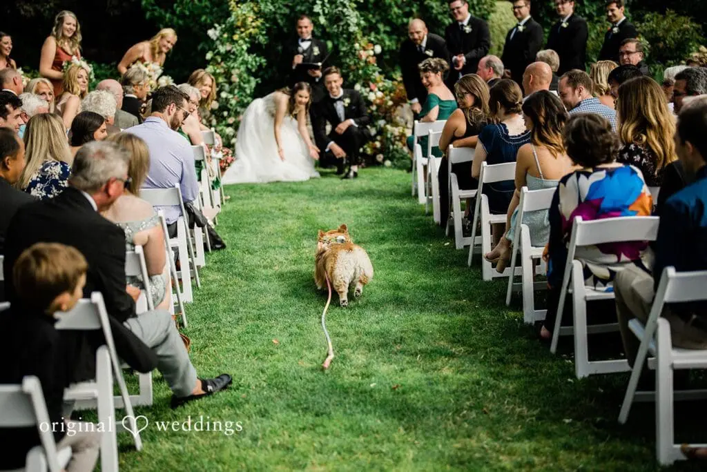 Katie & Stefan -