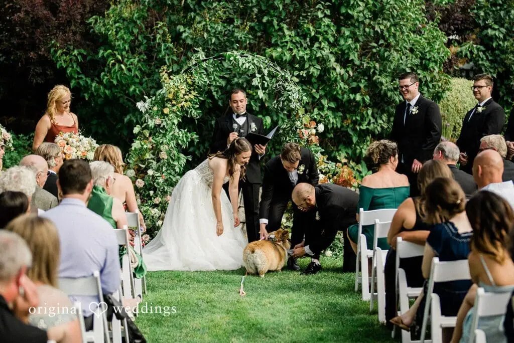Katie & Stefan -